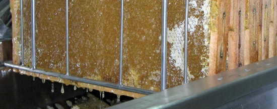 Decantación natural de miel