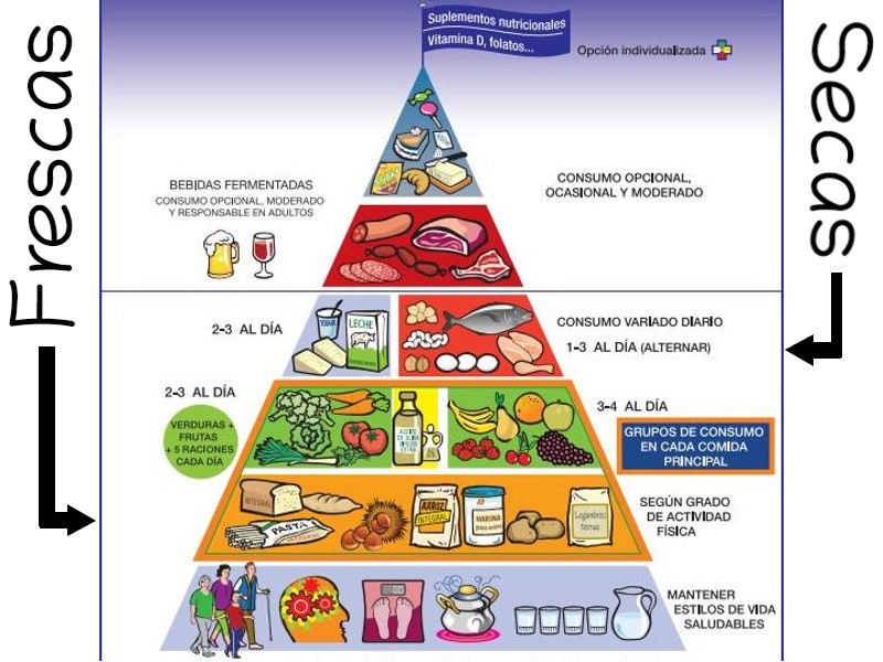 Pirámide alimenticia 2020